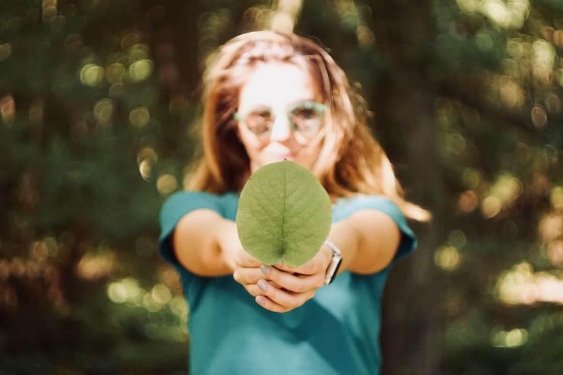 Sanchia: liderando la revolución verde en la industria del mobiliario